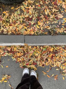 Бытовая психология