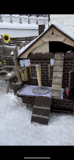 Зеленодольский район ,посёлок «Шишкин лес»