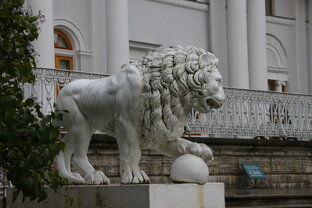Санкт-Петербург и окрестности