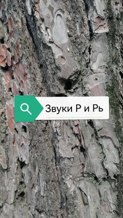 Звуки Р и Рь 