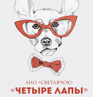 Приют «4 лапы»