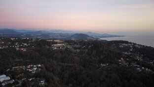 С высоты птичьего полета