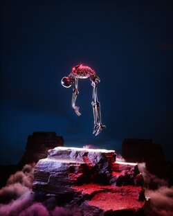 Подвалы моего сердца