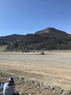 Цветение маральника 🌸