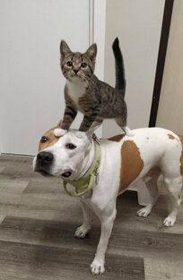 Рассказы, стихи, зарисовки 