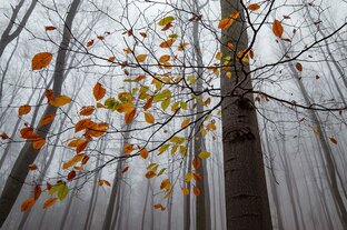 Статьи и сочинения не по теме