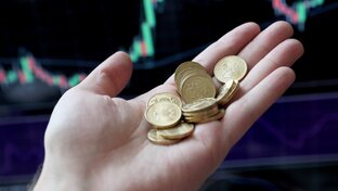 экономические финансы