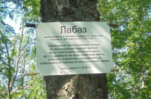 ИССЛЕДОВАНИЯ СОВРЕМЕННИКОВ