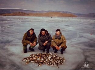 Прекрасные будни