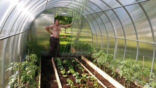 Теплица Огород как и почему