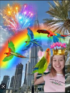 🌈⭐️Развлечения✈️🌍