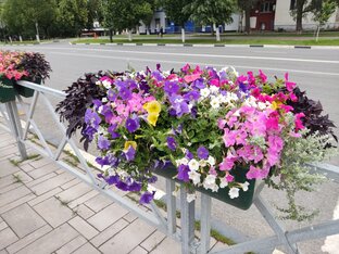 Необычные анкеты с сайта знакомств