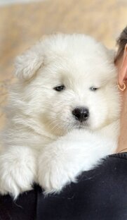 Фотосессия