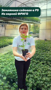 Юля расскажет