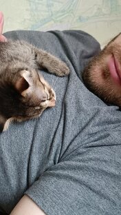 О семейном✔️