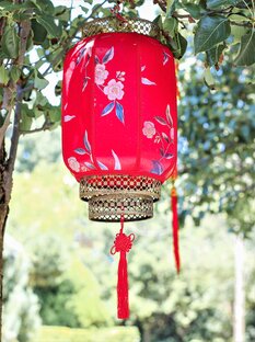 Китайская медицина