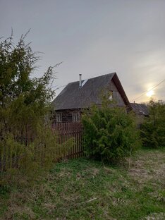 Дачные заметки