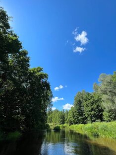 Сплавы по рекам: отдых на природе 