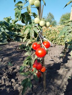 Техники и практики 