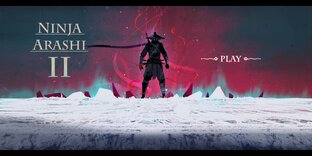 Ninja Arashi 2