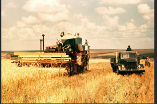 Сага о целине