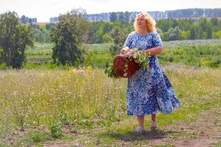 Домик в деревне