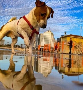 Фото, которые надо посмотреть дважды