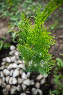 Популярное