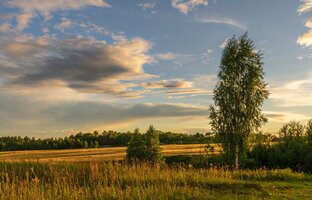Клипы с природой 