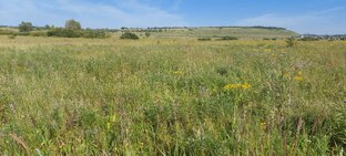 Большой луг