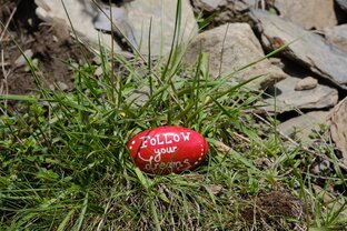 Учеба в Лите