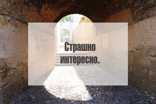 Страшно и интересно.