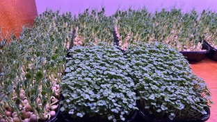 30000 в месяц сидя дома‼️