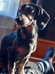 Пупа говорит,что пора обедать.🍴🍗🍖