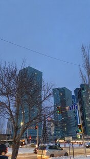 Зимние находки 