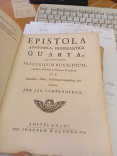 Романтика исследования...