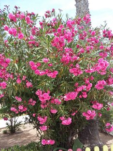 Актуальные статьи