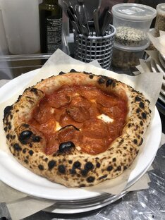 Старый и новый свет 