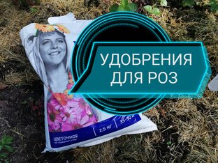 РОЗЫ. Схема подкормок