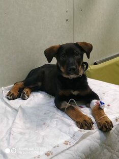 Предупрежден - вооружен