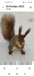 Мир животных