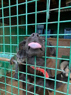 Факты