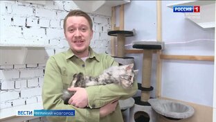 В эфире Максим Петров