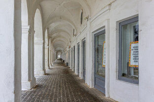 Костромская область