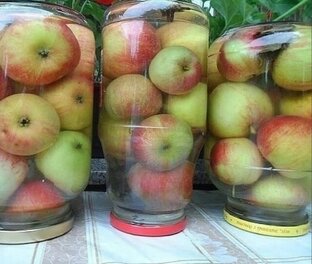 Дачная жизнь 