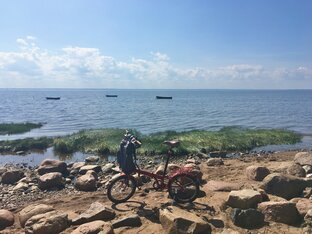 Обезьяна-путешественница