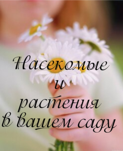 Насекомые и растения в вашем саду