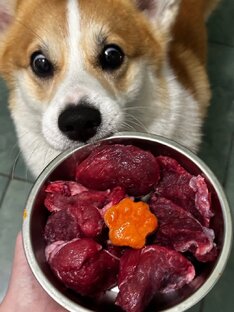 Нужна Ваша помощь!