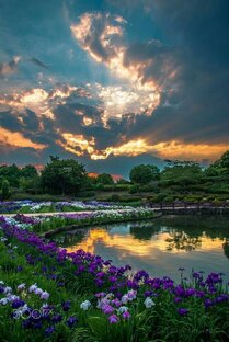 Природа 🏞️