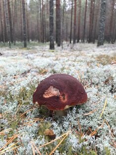 Моё место силы